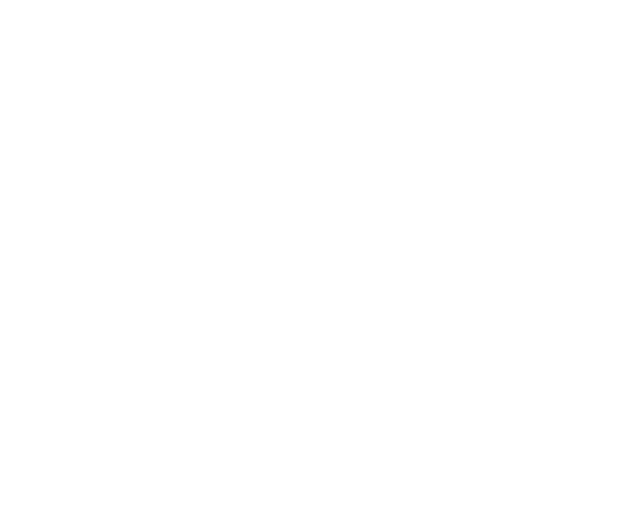 Logo- Vita Coach